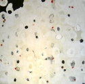 Painting--Acrylic-AbstractAnything Goes 1