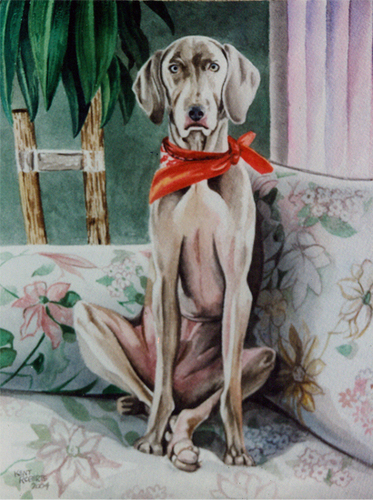Got Couch?