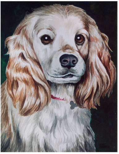 Clancy