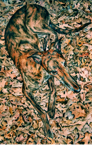 Camouflage