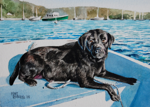 Boat Dog