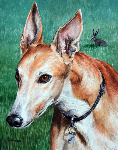 I'm All Ears