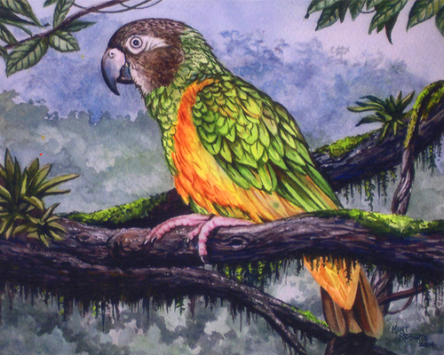 Exotic Bird 2