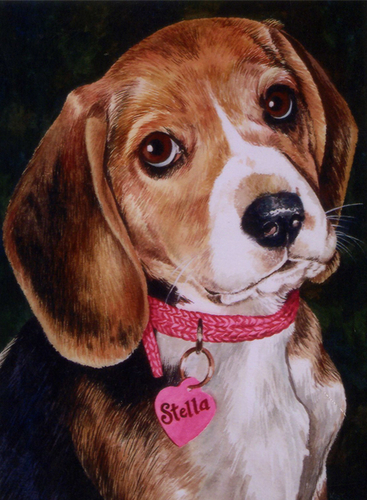 Stella