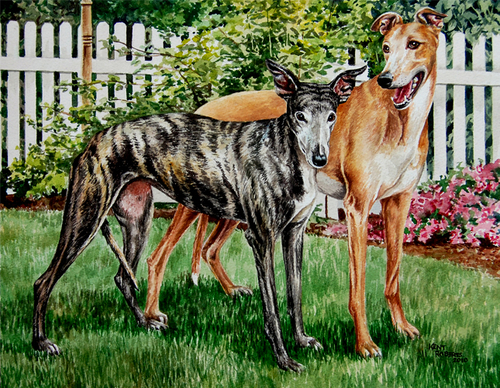 Sara & Max