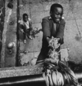 1969 (thumbnail)