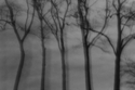 1972 (thumbnail)