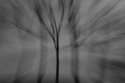 1972 (thumbnail)