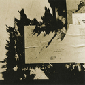 1975 (thumbnail)