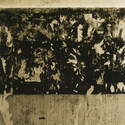 1975 (thumbnail)