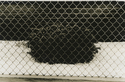 1976 (thumbnail)