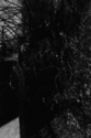 Untitled (thumbnail)