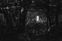 Untitled (thumbnail)