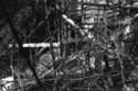Untitled (thumbnail)