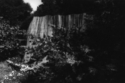 Untitled (thumbnail)