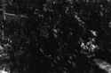 Untitled (thumbnail)
