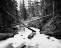 Untitled%2C%201994%2F95 (thumbnail)