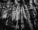 Untitled%2C%201990 (thumbnail)