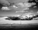 Untitled%2C%201994%2F95 (thumbnail)
