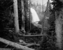 Untitled%2C%201994%2F95 (thumbnail)