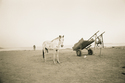 2000 (thumbnail)