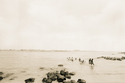2000 (thumbnail)