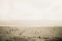 2000 (thumbnail)