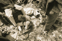 2000 (thumbnail)
