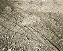 Kansas (thumbnail)