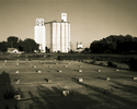 Kansas (thumbnail)