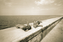 La%20Habana%20de%20Cuba (thumbnail)