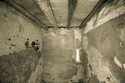2000 (thumbnail)