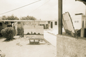 2000 (thumbnail)