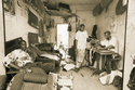 Senegal (thumbnail)