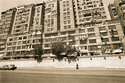 2005 (thumbnail)