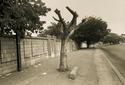 2000 (thumbnail)