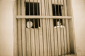 penumbra (thumbnail)