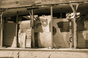 penumbra (thumbnail)