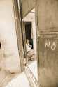 penumbra (thumbnail)