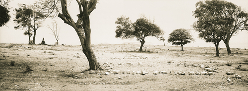 2001 (thumbnail)