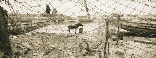 2001 (thumbnail)