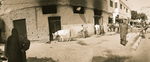 2005 (thumbnail)