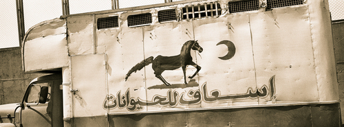 2005 (thumbnail)