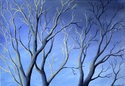 Highlit Branches, Maryland Highlit%20Branches%2C%20Maryland (thumbnail)