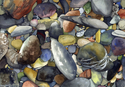 Renvyle Beach Stones, Ireland, No. 14 Renvyle%20Beach%20Stones%2C%20Ireland%2C%20No.%2014 (thumbnail)