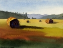 Morning Hay Rolls, Nimrod, Virginia Morning%20Hay%20Rolls%2C%20Nimrod%2C%20Virginia (thumbnail)