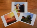 notecards%20of%203%20acrylics%3A%20each%20pack%20has%202%20of%20each%20image%20%28for%20a%20total%20of%206%20cards%20and%20envelopes%20per%20pack%29 (thumbnail)