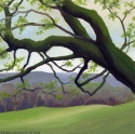 Leaning Towards Spring, Maryland Leaning%20Towards%20Spring%2C%20Maryland (thumbnail)