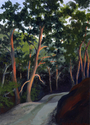 Nimbacova Woods Road, Nimrod, Virginia Nimbacova%20Woods%20Road%2C%20Nimrod%2C%20Virginia (thumbnail)