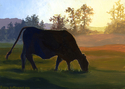 Morning Graze, Nimrod, Virginia Morning%20Graze%2C%20Nimrod%2C%20Virginia (thumbnail)